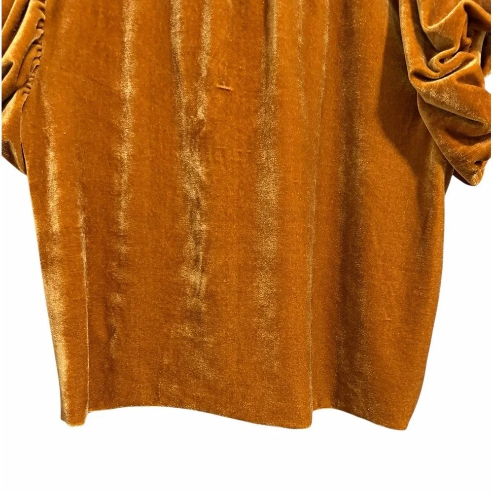 Free People Terese Velvet Top Pumpkin Pie Tie Neck Blouse Women's‎ Size XS